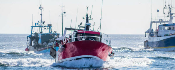 Flotte de bateaux